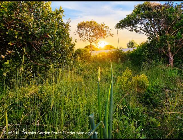 708M² VACANT LAND FOR SALE IN TERGNIET